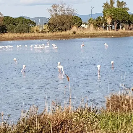 Rez De Jardin T3 Recent Et Calme Au Nouvelles Terres A Les Maures