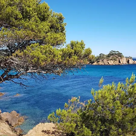 Apartamento Rez De Jardin T3 Recent Et Calme Au Nouvelles Terres A Les Maures