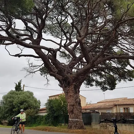 Apartamento Rez De Jardin T3 Recent Et Calme Au Nouvelles Terres A Les Maures La Londe-les-Maures