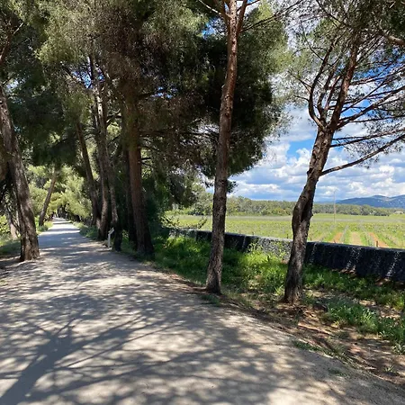 Rez De Jardin T3 Recent Et Calme Au Nouvelles Terres A Les Maures