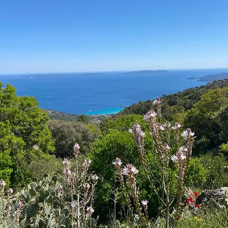 Apartamento Rez De Jardin T3 Recent Et Calme Au Nouvelles Terres A Les Maures *
