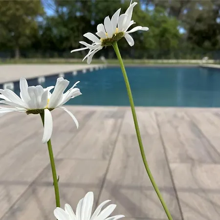 Rez De Jardin T3 Recent Et Calme Au Nouvelles Terres A Les Maures Apartamento